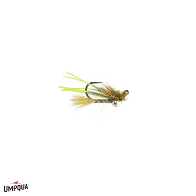 Great Carpholio Jig Fly Olive