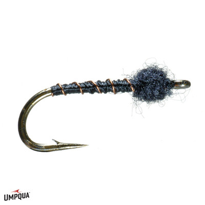 Dorsey's Black Beauty Fly