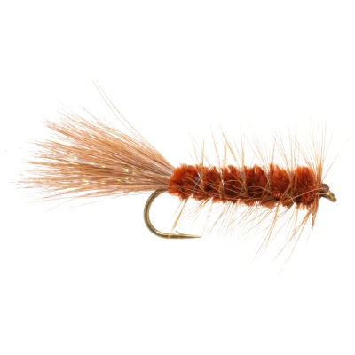 Wooly Bugger Fly Brown