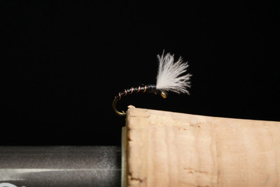 No Mercy Midge Tying Tuesday hero