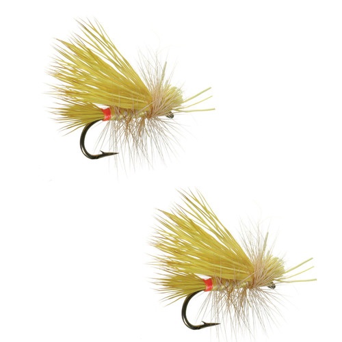 Umpqua Little Yellow Stone Female 2 Pack