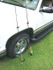 Anglers Accessories Fly Rod Holder - view 2