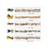 MFC Rubber Bugger Hackle - view 2