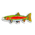 R.J. Mutton Stillwater Rainbow Trout Sticker