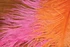 Hareline Ostrich Herl - view 1