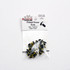 Hareline Posted Dome Eyes 0.30'' (7.50mm) Pearl