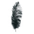 MFC Ostrich Plume Black