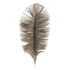 MFC Ostrich Plume Natural Grey