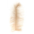 MFC Ostrich Plume Tan
