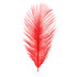 MFC Ostrich Plume Fluorescent Fire Red