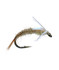 Umpqua Barr's Flashback Emerger PMD 2 Pack (Pats morning Dun) Fly Fishing Flies