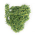 Semperfli Camo Chenille 15mm Green and Pale Olive