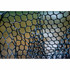 Fishpond Nomad Mid-Length Boat Net Wild Run Edition