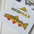 AvidMax Greenback Cutthroat Skin Logo 4 in Sticker Rainbow