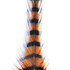 MFC Barred Saddle Hackle