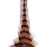 MFC Barred Saddle Hackle Rust/Black