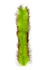 MFC Bunny Brush 2 Tone Barred Chartreuse/Orange
