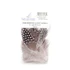 Fish Hunter Large Dot Guinea Feathers FL. Light Pink (UV)
