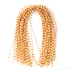 MFC Speckled Centipede Legs Sizes Speckled Yellow/Red Medium