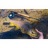 Cortland Nymph Series Fly Rod