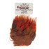 Hareline Golden Pheasant Body Feathers