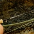 Sage Classic R8 blank with chestnut wraps over a landing net