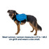 Ruffwear Approach Dog Gear Pack with Dual Saddlebags and Handle All Varieties