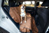 Ruffwear Dirtbag Seat Cover Vehicle / Car / Truck Seat Cover