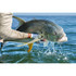 Cortland All Purpose Taper Fly Line - view 2