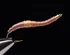 Hareline Chewee Skin UV - view 1