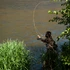 Angler casting a Redington EDC fly rod from a grassy riverbank