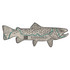 Fishpond Topo Trout Sticker 8”