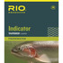 RIO Indicator Leader