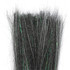 MFC Scales 'n Tails Black