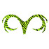 MFC Pacchiarini's Double Dragon Tails Fluorescent Yellow Barred