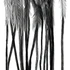 MFC Whiting 100 Pack Size 18 Black