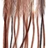 MFC Whiting 100 Pack Size 20 Brown