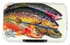 MFC Poly Fly Box