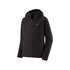 Patagonia Men's R1 TechFace Fitz Roy Trout Hoody