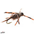 Umpqua Tim's Stone Drummond Fly