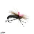 Seed Beetle Feller Fly Black 10
