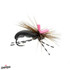 Seed Beetle Feller Fly Black 12