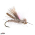 Superior Spruce Moth Grillos Fly