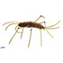 Umpqua Restless Stone Fly