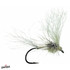 May Day Fly Callibaetis