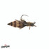 Umpqua Draggin Nymph Smitherman Fly