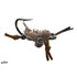 Contraband Crab Fly Brown 4