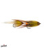 Swim Coach Craven Fly Brown Yellow