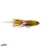Swim Coach Craven Fly Brown Yellow 2 x 4