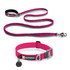 Ruffwear Roamer Leash & Crag Collar Combo